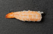 32. Ebi / Tigerreje Nigiri